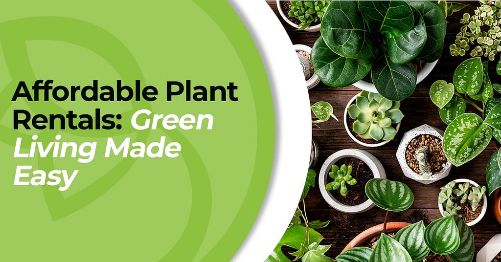 Affordable Plant Rental Services: Embrace Green Living | | Green Earth | Uncategorized |