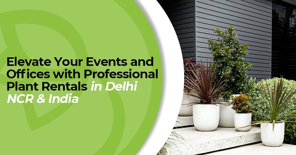 Plant rental services