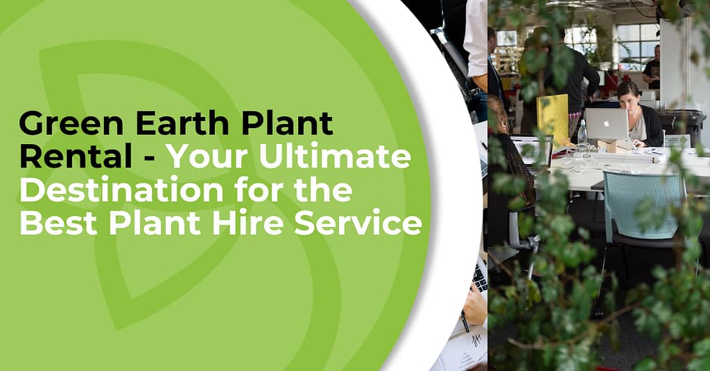 plant reantal services