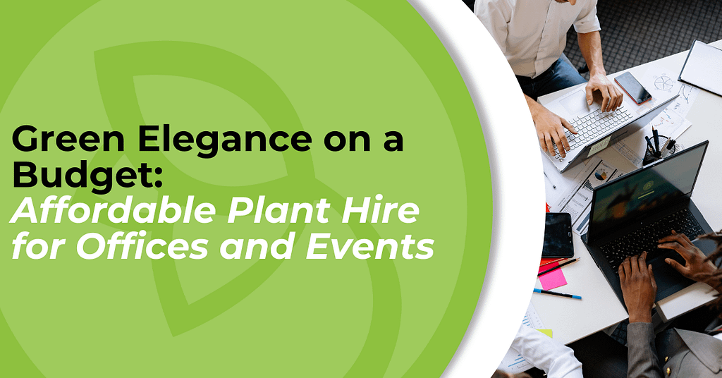 Green Elegance on a Budget: Affordable Plant Hire for Offices and Events