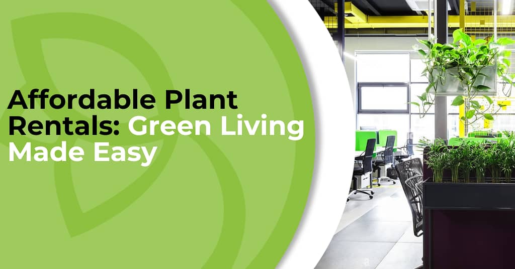 Plant Rentals