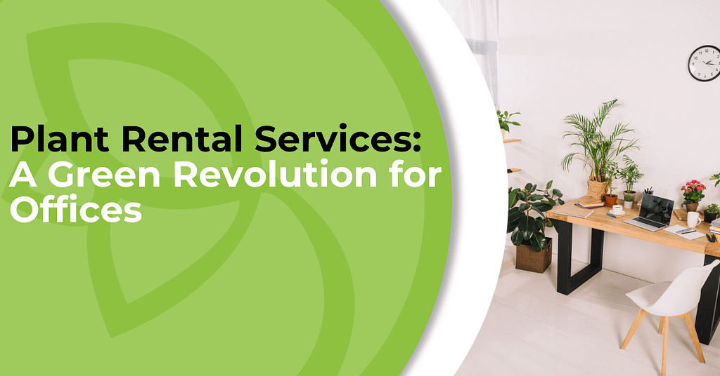 Plant Rental Services: A Green Revolution for Offices