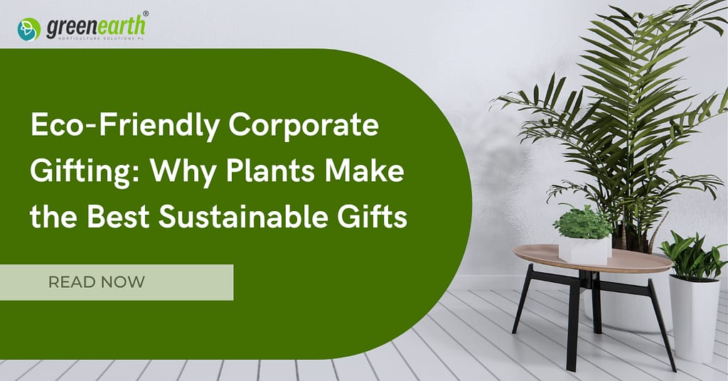 Eco-Friendly Corporate Gifting: Why Plants Make the Best Sustainable Gifts | | Green Earth | Plant Rentals by Green Earth India |