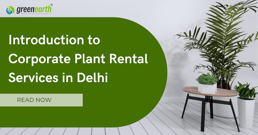 Introduction to Corporate Plant Rental Services in Delhi | | Green Earth | Plant Rentals by Green Earth India |