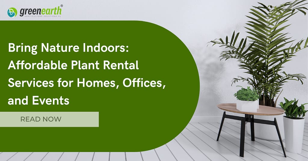Bring Nature Indoors: Affordable Plant Rental Services for Homes, Offices, and Events | | Green Earth | Plant Rentals by Green Earth India |